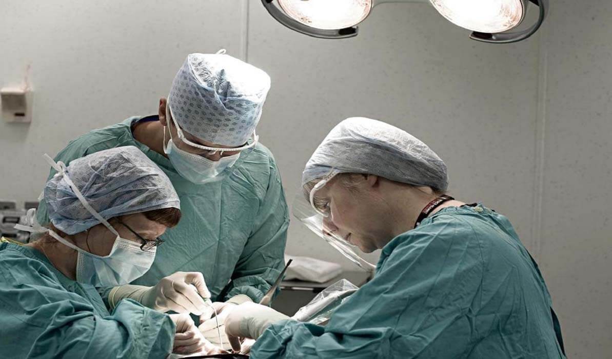 Medical Adaptation Course